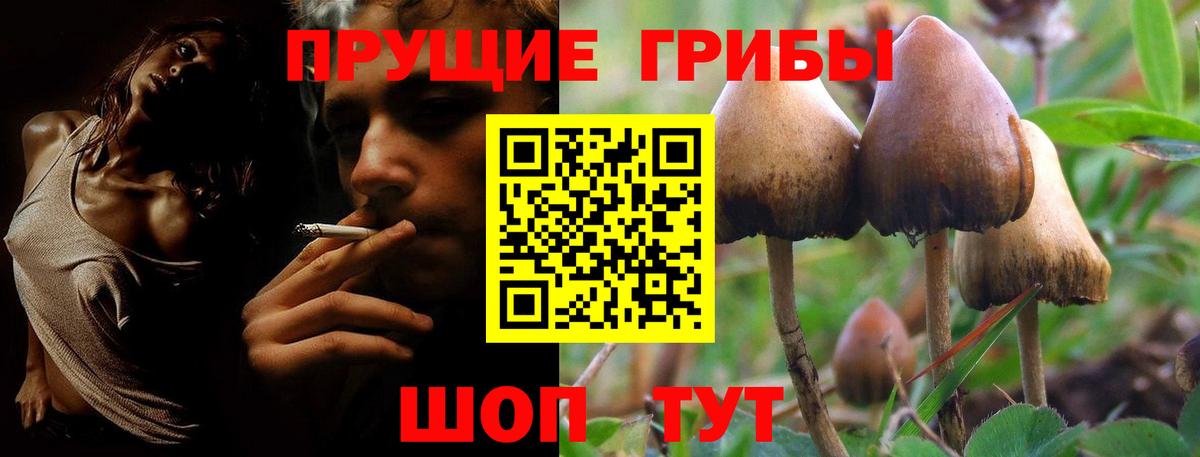Псилоцибиновые грибы Psilocybine cubensis  Галлюциногенные грибы MAGIC MUSHROOMS  Сергиев Посад  закладка  Вход с VPN 